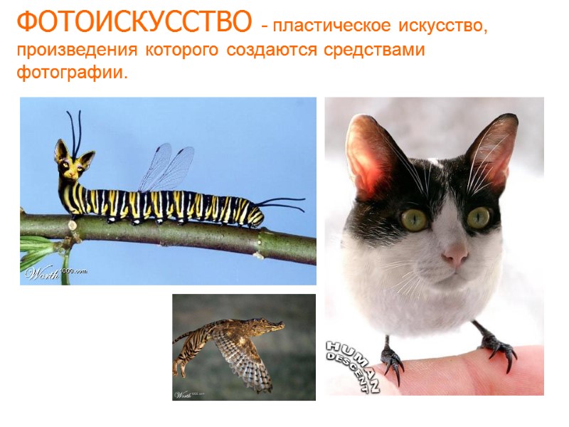 ФОТОИСКУССТВО - пластическое искусство, произведения которого создаются средствами фотографии. ФОТОИСКУССТВО - пластическое искусство, произведения которого создаются средствами фотографии.